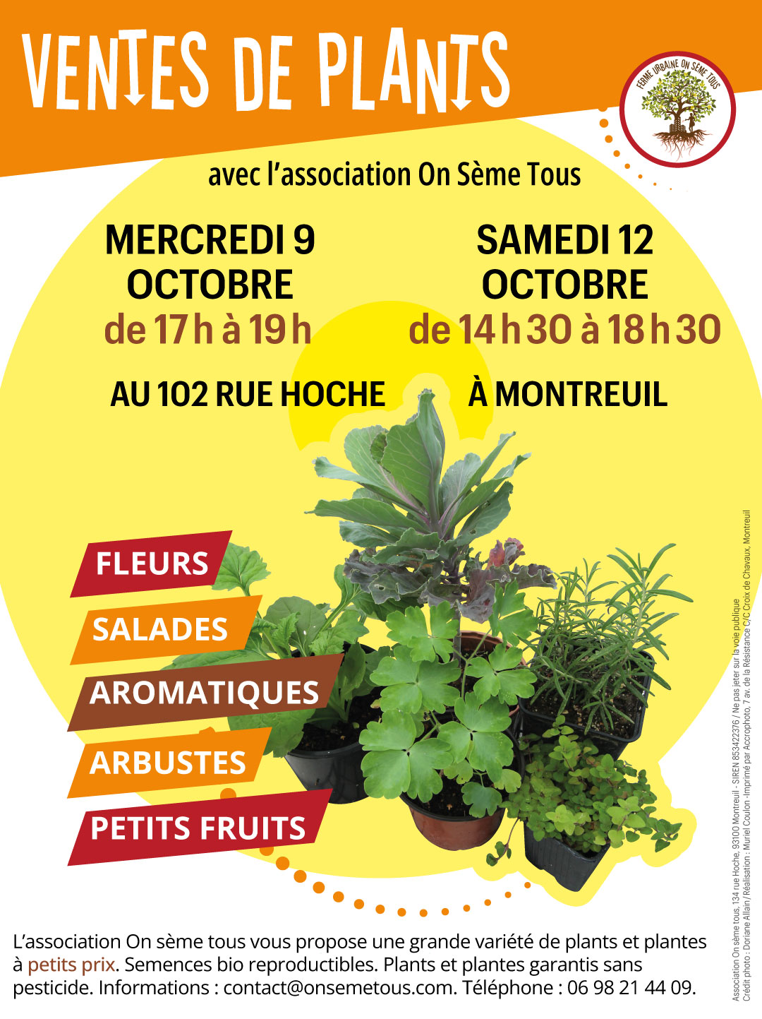 Vente de potées de bulbes. Horaires et calendrier des floraisons