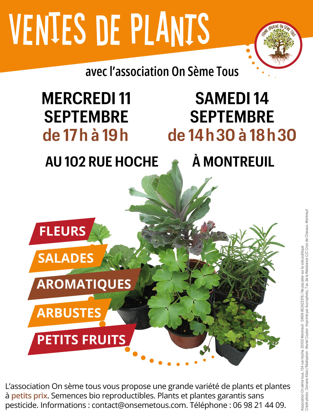 Vente de potées de bulbes. Horaires et calendrier des floraisons