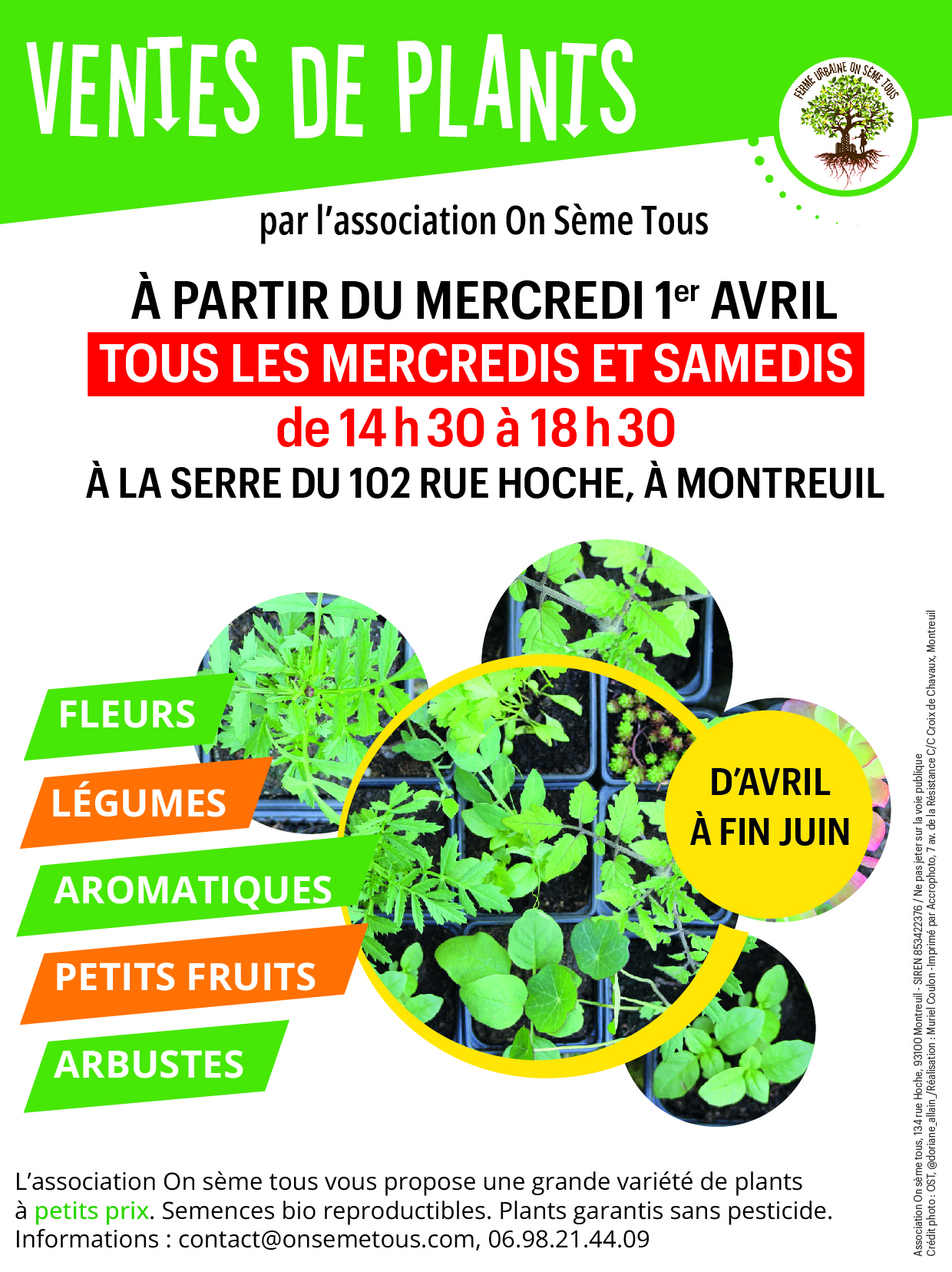 Vente de potées de bulbes. Horaires et calendrier des floraisons